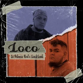 Loco by Lion&Lamb