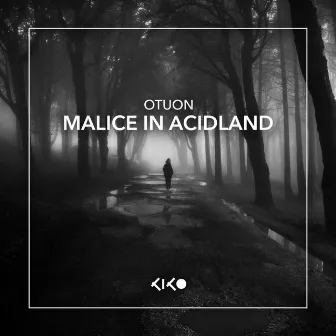 Alice In Acidland by Otuon