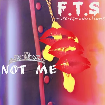 Not Me by F.T.S