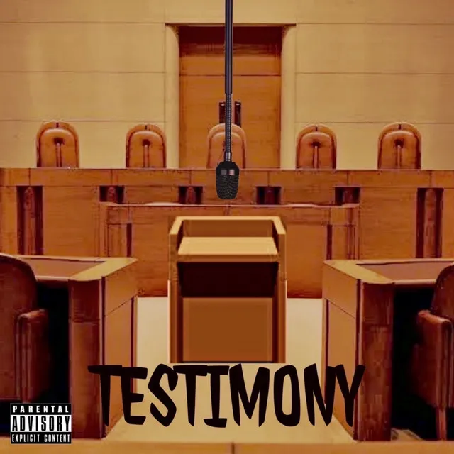 TESTIMONY