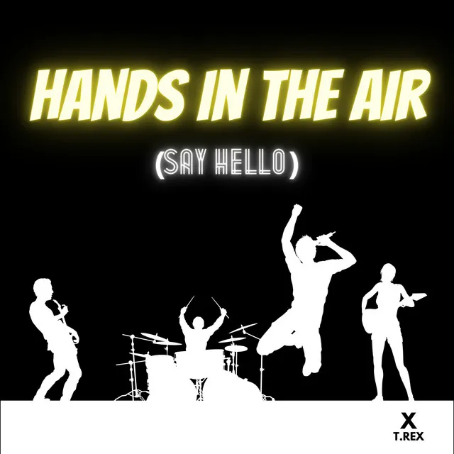 Hands in the Air