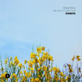 Ginesta by Irene Reig