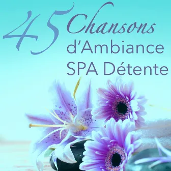 45 Chansons d’Ambiance Spa Détente - Musique Zen Relaxant pour Spa, Zen, Méditation, Yoga et Massage by No Stress Ensamble