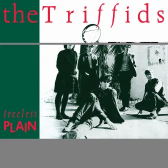 Treeless Plain by The Triffids