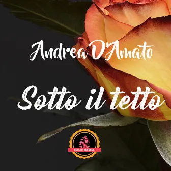 Sotto il tetto by Andrea D'Amato