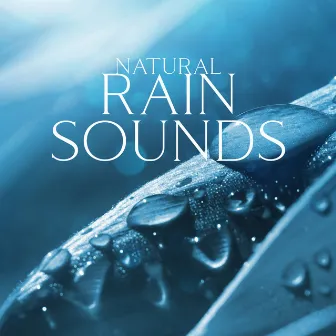 Natural Rain Sounds For Relaxing, Sleeping, Beat Insomnia [Gentle Night Rain] by Raining Background Sound