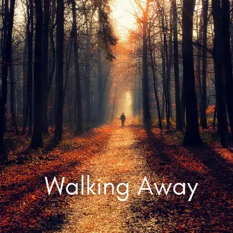 Walking Away by Unknown Artist