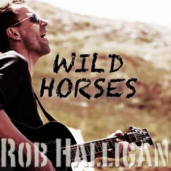 Wild Horses by Rob Halligan