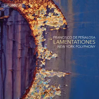 Lamentationes by New York Polyphony