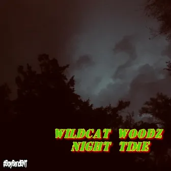 Night Time by Wildcat Woodz