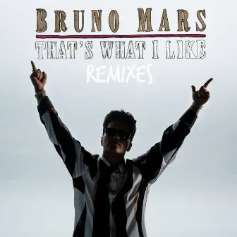 That's What I Like (Alan Walker Remix) by Bruno Mars