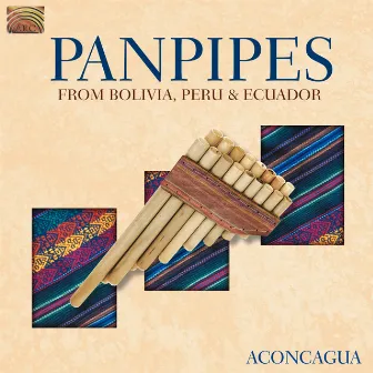 Pablo Carcamo: Aconcagua - Panpipes From Bolivia, Peru and Ecuador by Pablo Carcamo