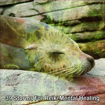 39 Storms For Reiki Mental Healing by Big Sounds