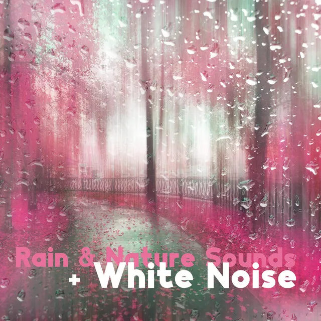 Rain & Nature Sounds + White Noise