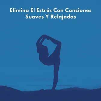 Elimina El Estrés Con Canciones Suaves Y Relajadas by Koshi Chimes Relájate