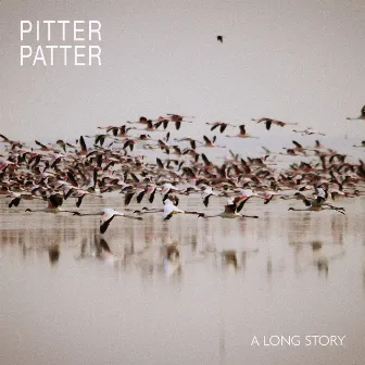 Pitter Patter by A Long Story