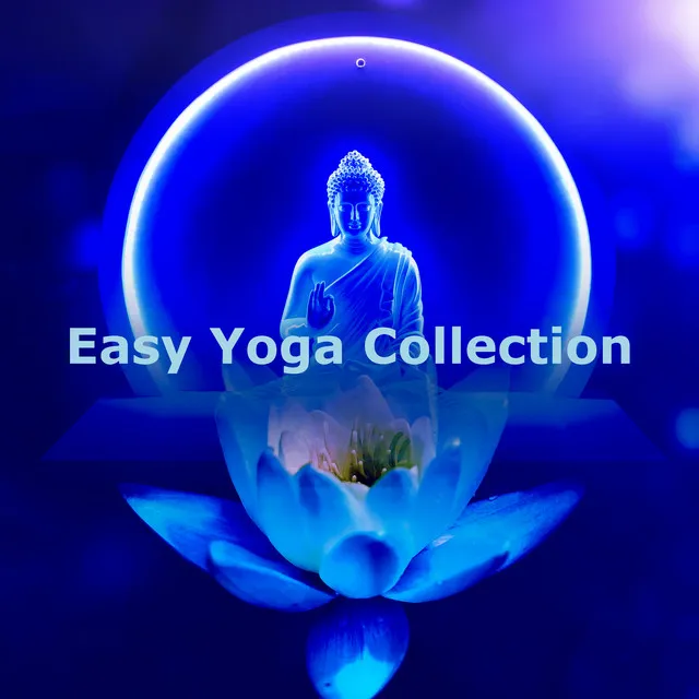 Easy Yoga Collection