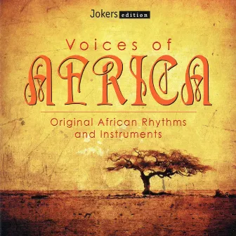 Voices of Africa: Original African Rhythms & Instruments by Atile and Friends