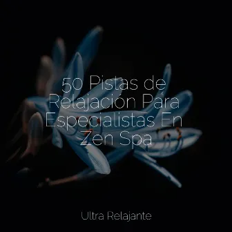 50 Pistas de Relajación Para Especialistas En Zen Spa by Unknown Artist