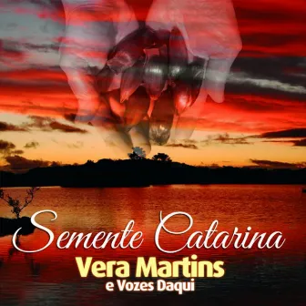 Semente Catarina by Vera Martins