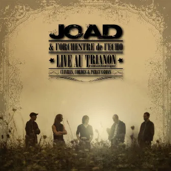 Live au Trianon Transatlantique (feat. L'Orchestre de l'Echo) [Live] by Joad