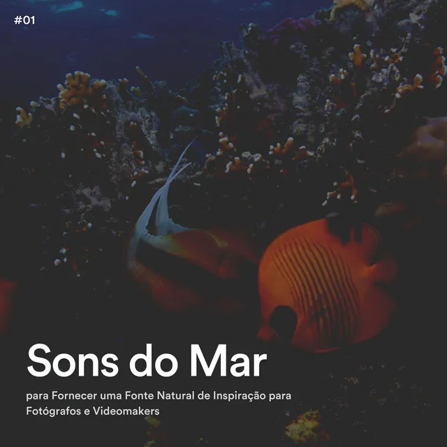 Sons do Mar para Fornecer uma Fonte Natural de Inspiração para Fotógrafos e Videomakers, Pt. 37