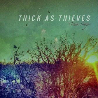 These Days by Thick As Thieves