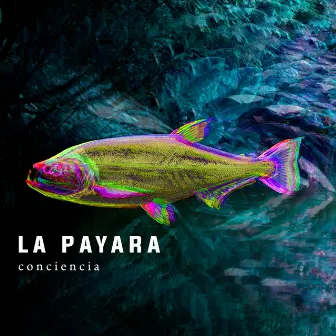 Conciencia by La Payara