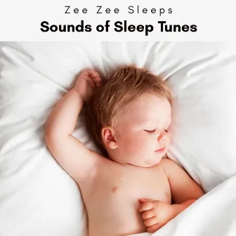 1 Sounds of Sleep Tunes by 