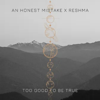 Too Good To Be True by Reshma