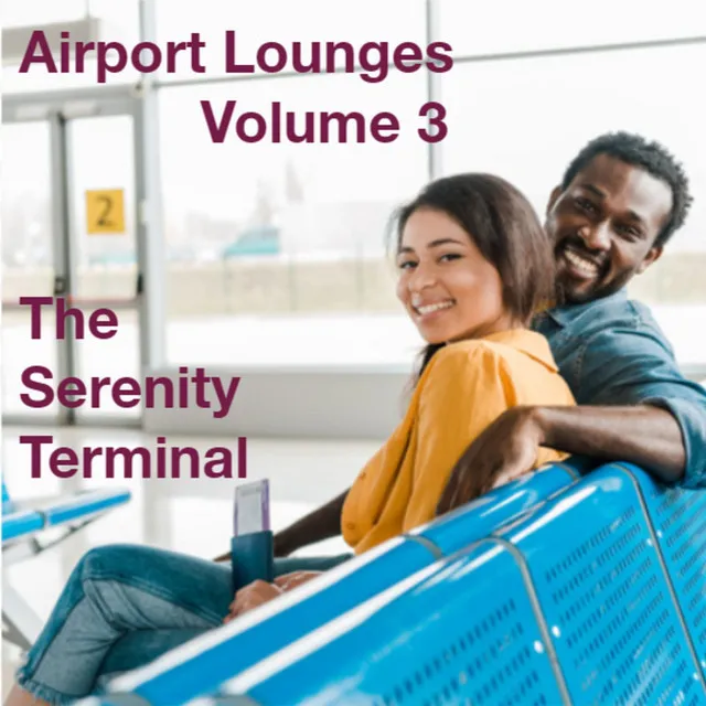 Airport Lounges, Vol. 3: the Serenity Terminal