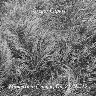 Minuetto in C major Op. 21 No. 12 by Gregor Capart