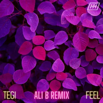 Feel (Ali.B Remix) by Ali Balla