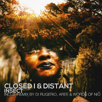 Insect by Closed I