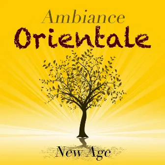 Ambiance Orientale: Musique du Monde et Musique Chinoise by Unknown Artist