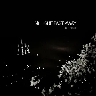 Narin Yalnızlık by She Past Away