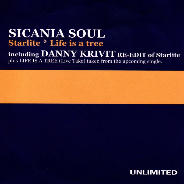 Starlite - Danny Krivit Re-Edit