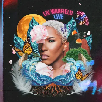 Live at Cafe Wha, New York, 2022 by Liv Warfield