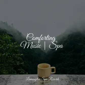 Comforting Music | Spa by Tonal Meditation Collective