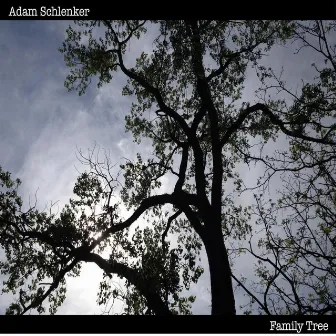 Family Tree by Adam Schlenker