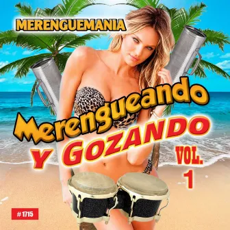 Merengueando Y Gozando, Vol. 1 by Merenguemania