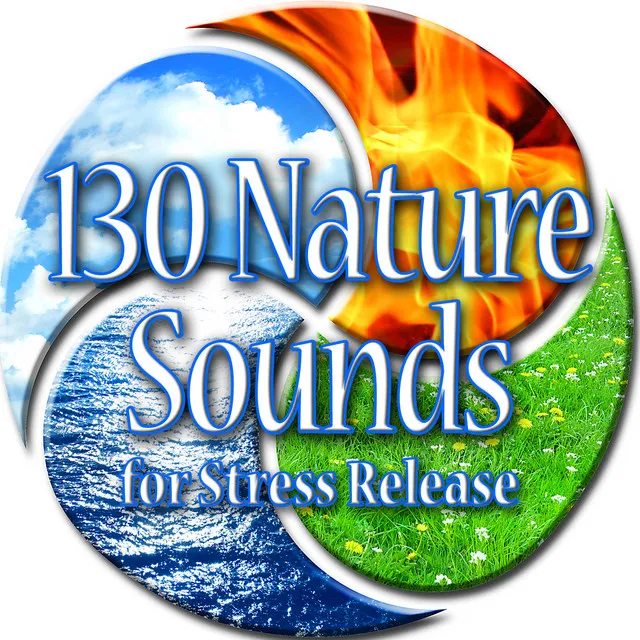 Sounds of Nature White Noise for Mindfulness