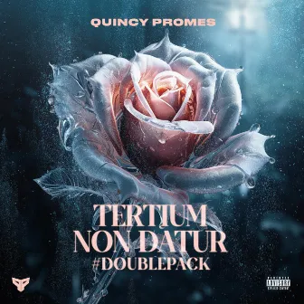 Tertium Non Datur by Quincy Promes