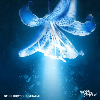 Upsidedown by Miracle