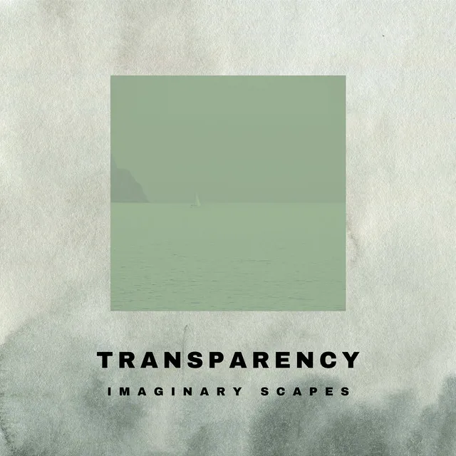 Transparency