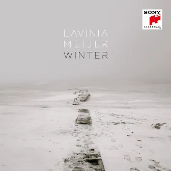 Winter by Lavinia Meijer