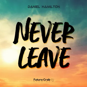 Never Leave by Daniel Hamilton