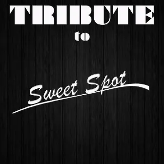 Sweet Spot (Instrumental Tribute to Flo Rida feat. Jennifer Lopez) by Cover Crew