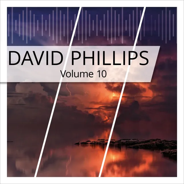 David Phillips, Vol. 10