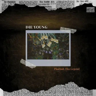 DIE YOUNG by SLIMM